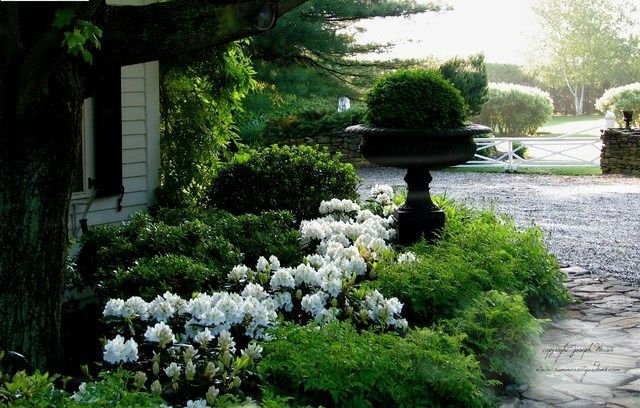 Záhradné nápady nápady krásna krajina