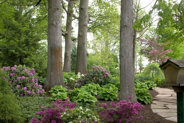 Krajina v kombinácii s kvetmi azalky krásne