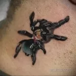 صورة لشم عنق العنكبوت 07/25/2021 №015 - وشم رقبة العنكبوت -