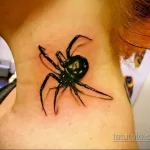 صورة لشم عنق العنكبوت 07/25/2021 №002 - وشم رقبة العنكبوت -