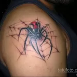 صورة لشم عنكبوت على الكتف 25.07.2021 №003 - وشم عنكبوت على الكتف -