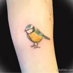 صورة وشم مع طائر طائر 13082021 - №0211 - وشم حلمة -