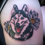 Fénykép tetoválásról kutyafajtával Husky 2021/03/08 №82182 - husky tetoválás -