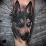 Fénykép egy tetoválásról egy kutyafajtával Husky 2021/03/08 №80180 - husky tetoválás -