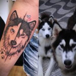 Fénykép tetoválásról kutyafajtával Husky 2021/03/08 №51151 - husky tetoválás -