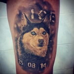 Fénykép egy tetoválásról egy kutyafajtával Husky 2021/03/08 №30130 - husky tetoválás -