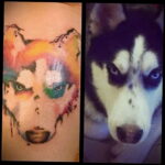 Fénykép tetoválásról kutyafajtával Husky 2021/03/08 №25125 - husky tetoválás -