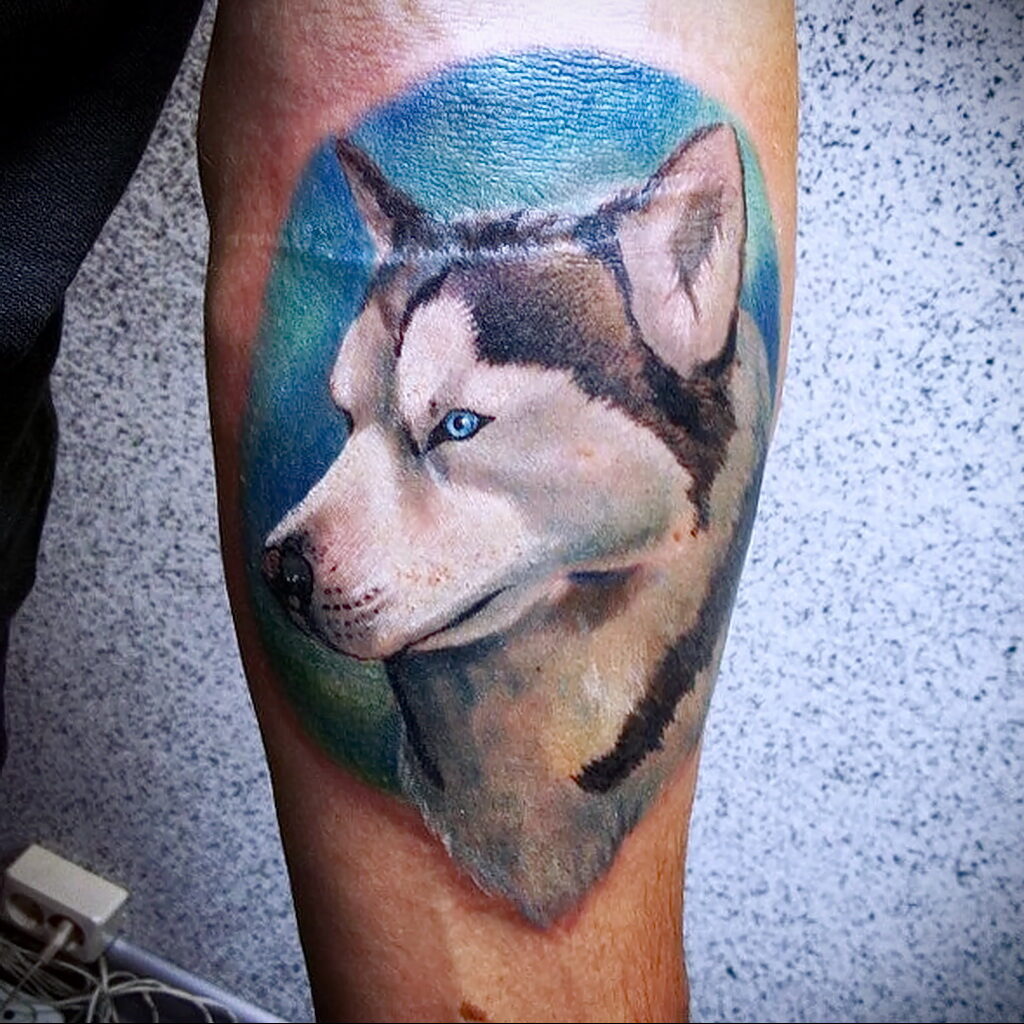 Fénykép tetoválásról kutyafajtával Husky 2021/03/08 №18118 - husky tetoválás -