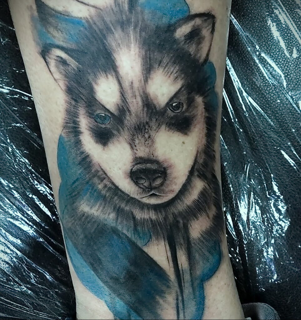 Fénykép a tetoválás rajzáról Husky kutyafajtával 2021/03/20 №285 - husky tetoválás -