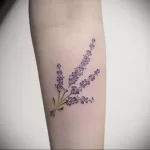 صورة لرسم وشم أرجواني 23.07.2021 №292 - وشم أرجواني -