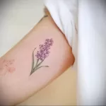 صورة لرسم وشم أرجواني 23.07.2021 №263 - وشم أرجواني -