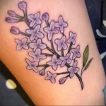 صورة لرسم وشم أرجواني 23.07.2021 №255 - وشم أرجواني -