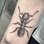 Fotó példa egy tetoválásra hangyával 03/21/2021 №149 - hangya tetoválás -