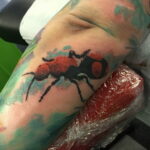 Fotó példa egy tetoválásra hangyával 03/21/2021 №148 - hangya tetoválás -