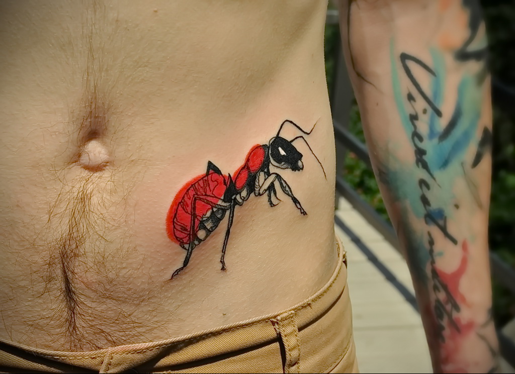 Fotó példa egy tetoválás rajzára hangyával 03/21/2021 №116 - hangya tetoválás -