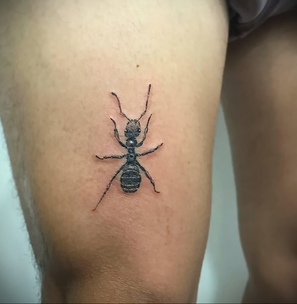 Fotó példa egy tetoválásrajzra hangyával 03/21/2021 №040 - hangya tetoválás -