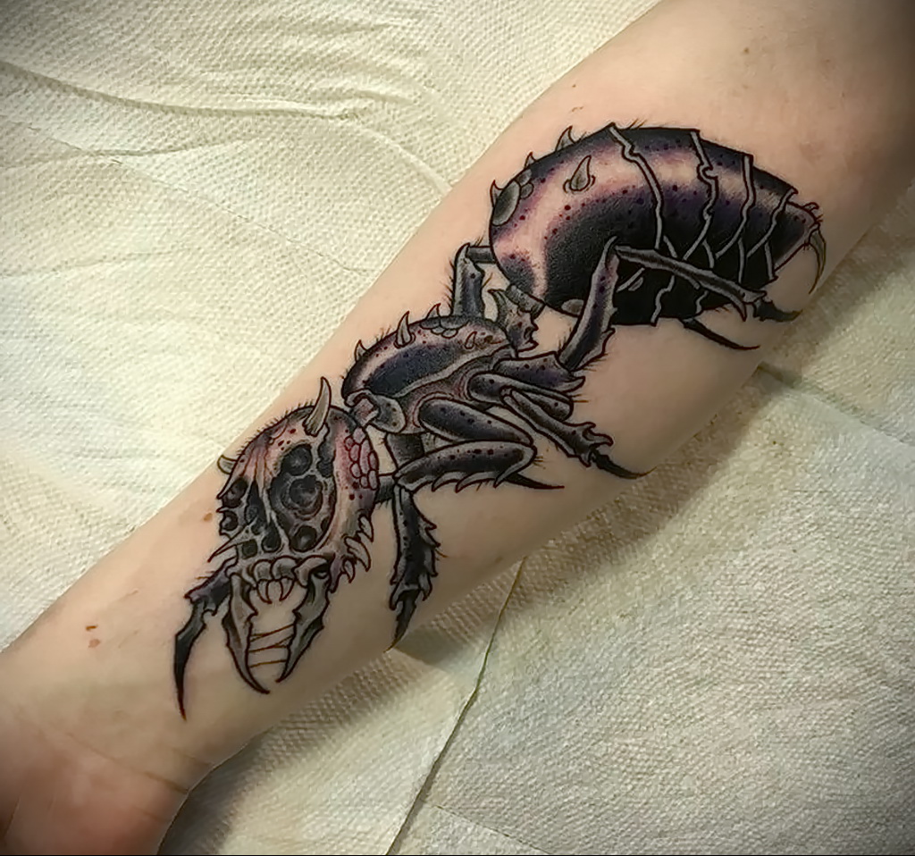 Fotó példa egy tetoválásra hangyával 03/21/2021 №043 - hangya tetoválás -