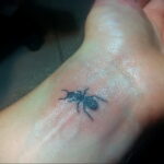 Fotó példa egy tetoválásrajzra hangyával 03/21/2021 №122 - hangya tetoválás -