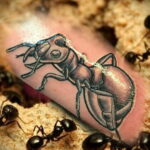 Fotó példa egy tetoválásrajzra hangyával 03/21/2021 №101 - hangyatetoválás -