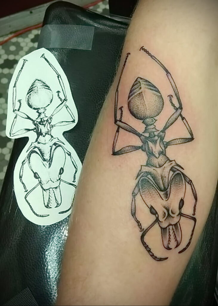 Fotó példa egy tetoválásrajzra hangyával 03/21/2021 №099 - hangyatetoválás -