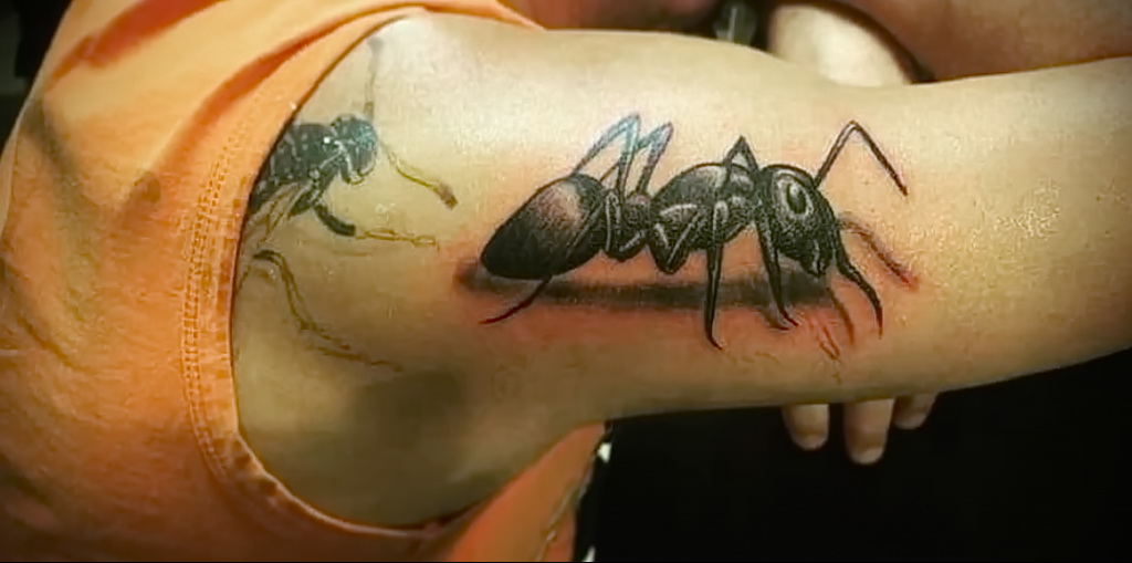 Fotó példa egy tetoválás rajzára hangyával 03/21/2021 №098 - hangya tetoválás -