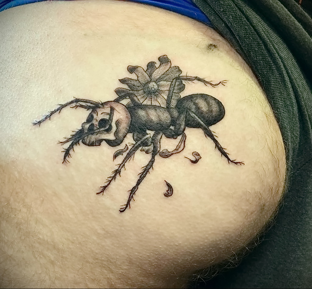 Fotó példa egy tetoválásra hangyával 03/21/2021 №092 - hangya tetoválás -