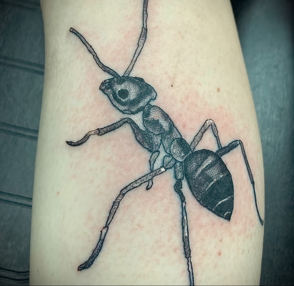 Fotó példa egy tetoválásra hangyával 03/21/2021 №090 - hangya tetoválás -