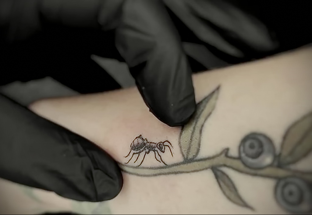 Fotó példa egy tetoválásra hangyával 03/21/2021 №089 - hangya tetoválás -