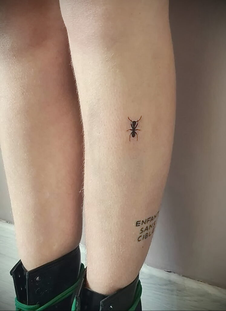 Fotó példa egy tetoválásra hangyával 03/21/2021 №078 - hangya tetoválás -