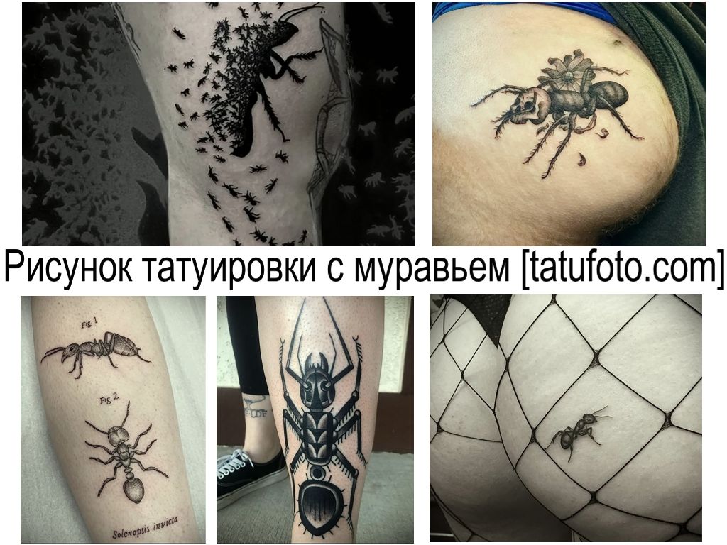 Hangya tetoválás rajz - információk a hangyatetoválás mintáinak jellemzőiről és fényképeiről