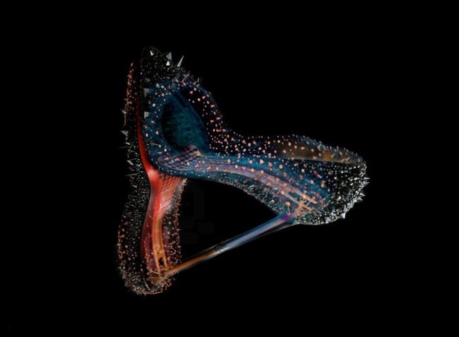 röntgenové fotografie luxusného tovaru laurence picot 3d softvér