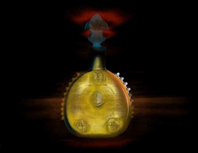 louis xiii koňak röntgenové fotografie výstava laurence picot