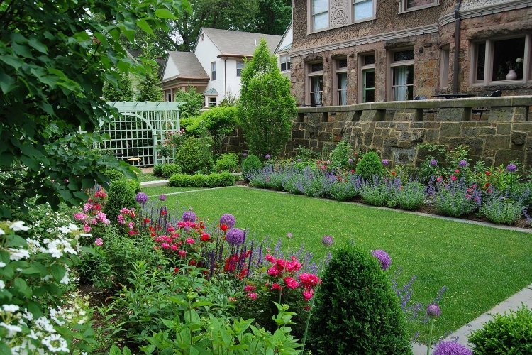 nízke ruže pre spoločníkov v čiastočnom tieni na záhone