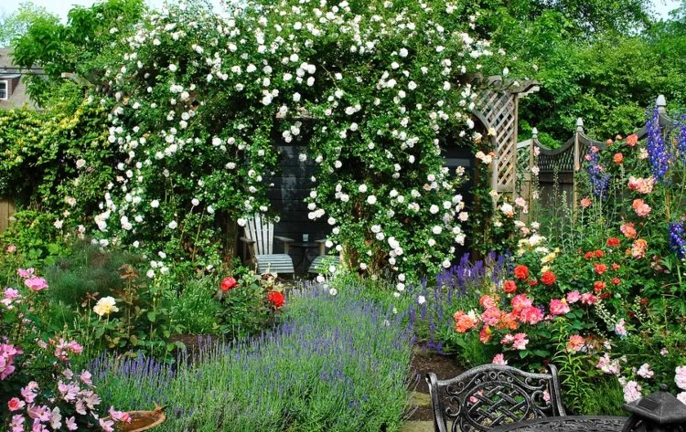Horolezecké ruže a ruže pre čiastočný tieň si vyberajú nápady pre záhradný dizajn