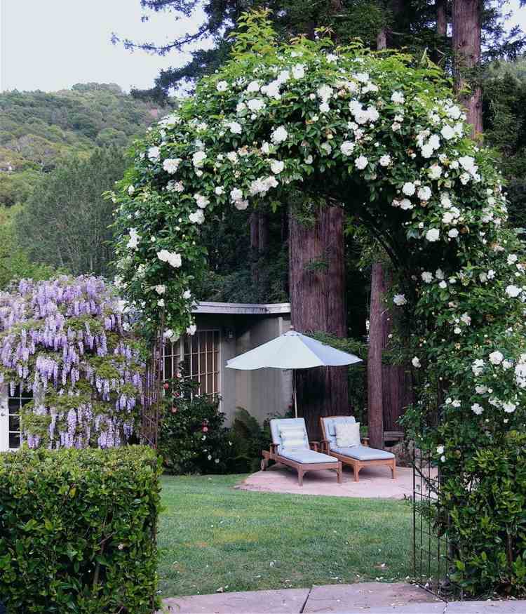 Oblúk ruží-výsadba-záhrada-vchod-kovový rám-stromy-budova-ležadlá-slnečník