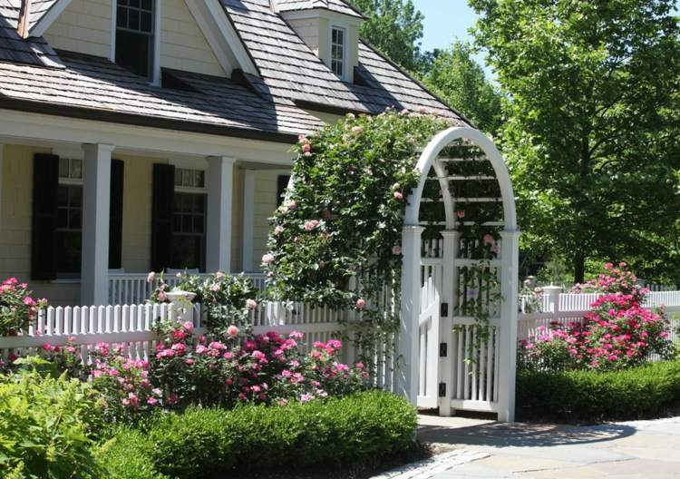 Oblúk ruží-výsadba-dom-záhrada-vchod-úponok-pomoc-drevo-lezenie-ruža-lišajník-ružová