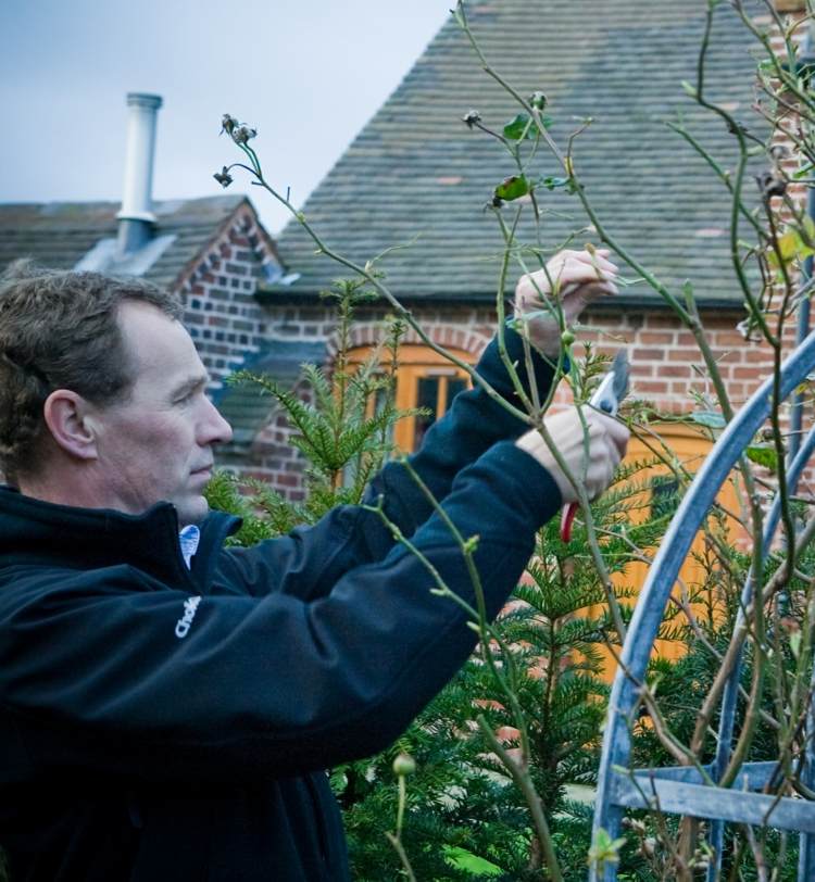 Oblúk ruží-výsadba-rastlín-prerezávací-rám-oceľ-muž-záhradník-záhradnícke nožnice