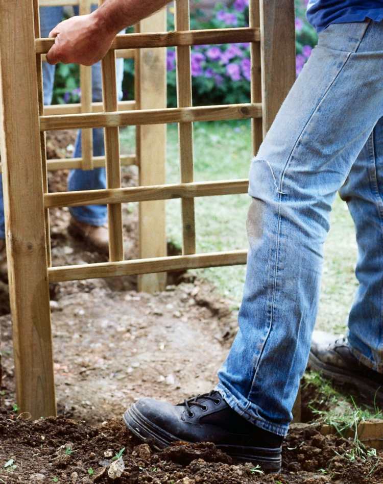 Rose-arch-plant-frame-wood-set-up-fasten-wide-men-garden