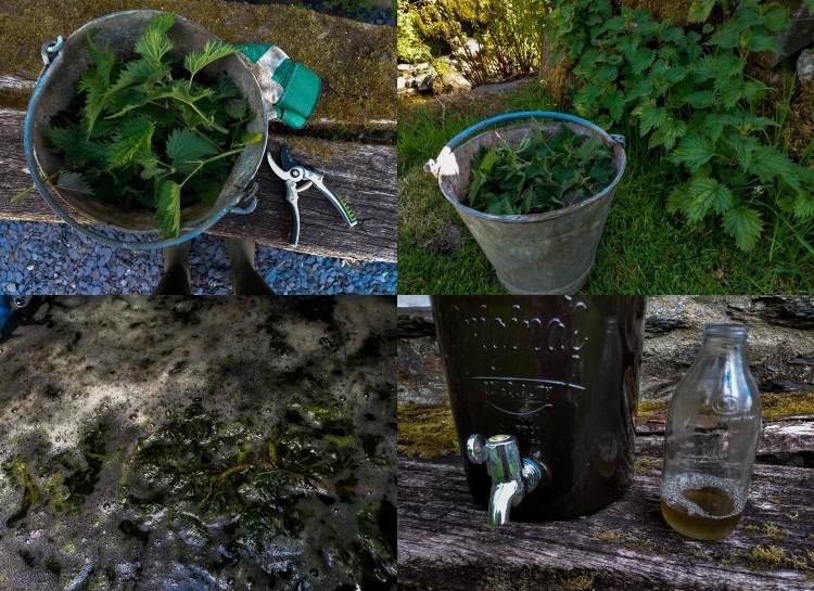 Vytvorte si vlastný recept na žihľavový hnoj na organické hnojivo