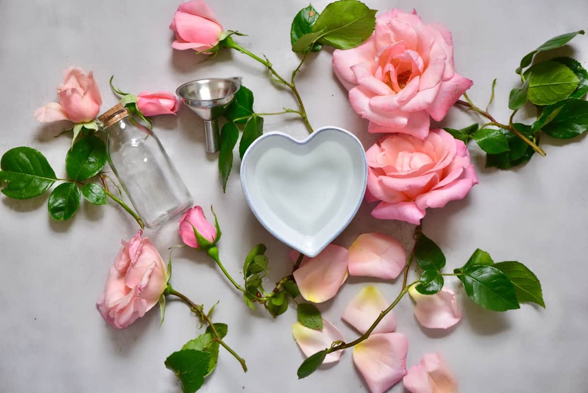 Vyrobte si ružovú vodu sami Pokyny pre domácich majstrov ružové lístky starostlivosti o pleť prírodná kozmetika suchá pokožka