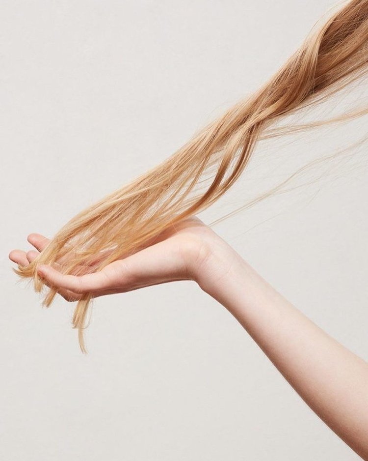 rozmarín môže stmaviť blond vlasy