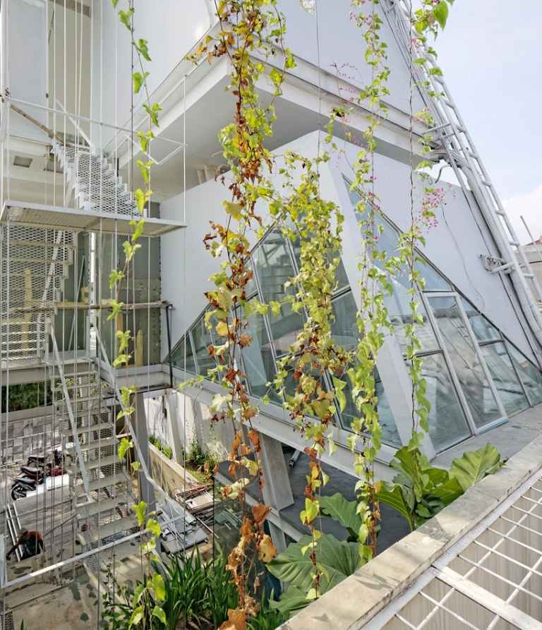 Popínavé rastliny vnášajú do domu prírodu