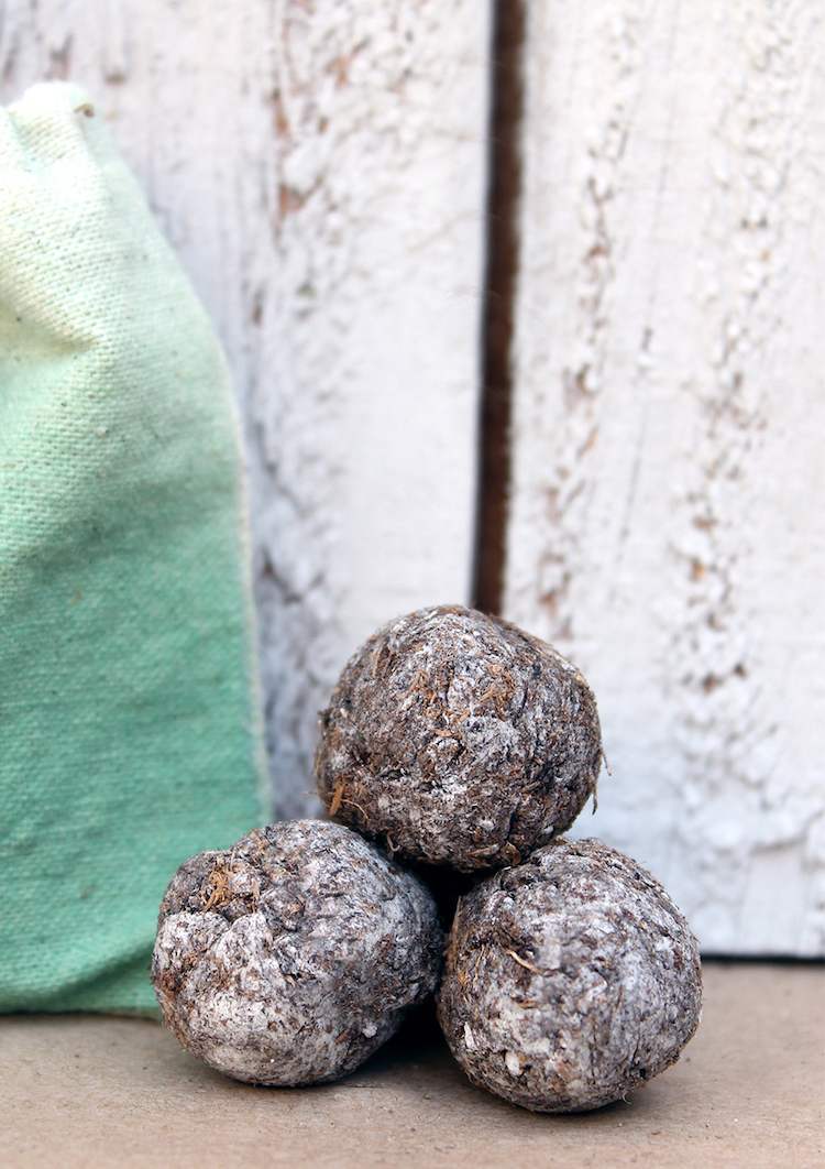 Vyrobte si semienkové bomby sušením guličiek v obchode