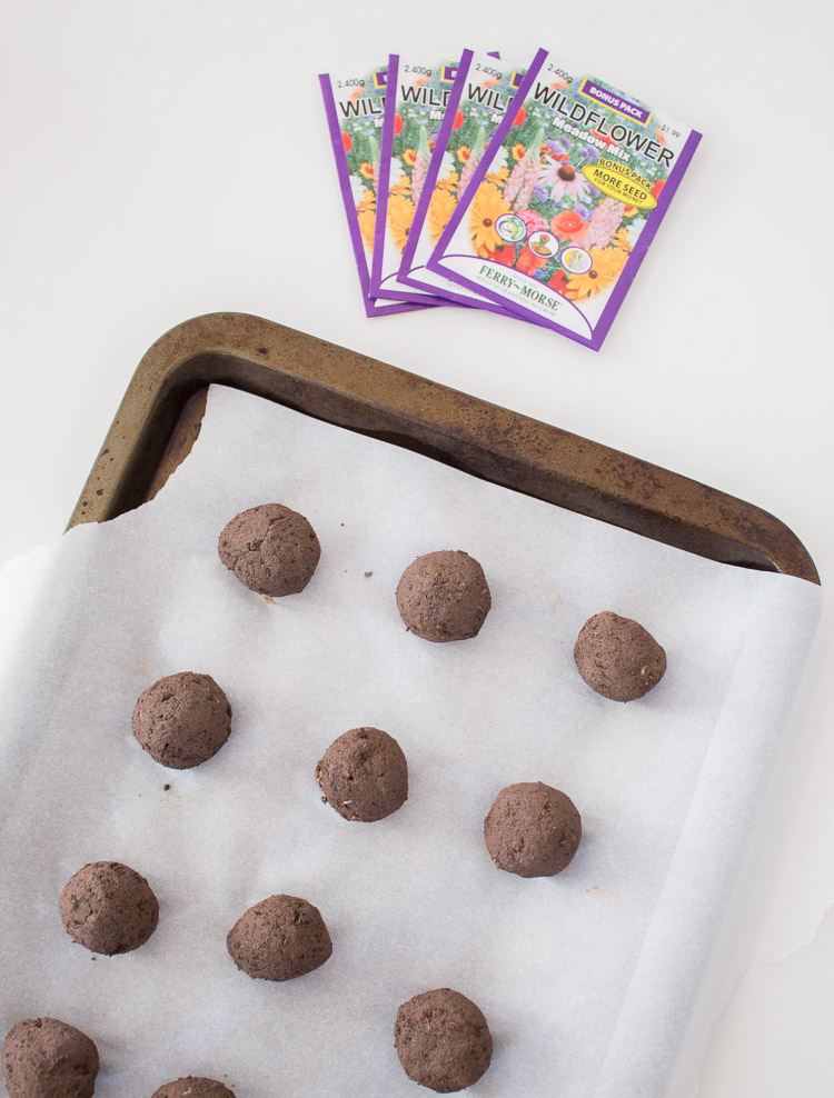 Vyrobte si semenné bomby sami, suché semená plesnite s pôdou