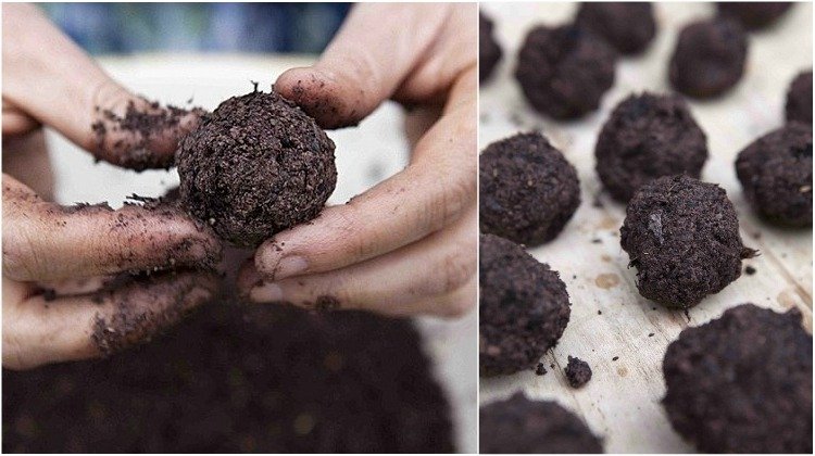 Vyrobte si semienkové bomby sami a vytvarujte guličkové tvary