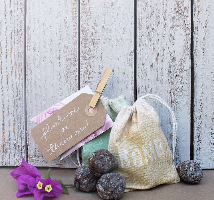 Bombičky zo semien robia nápady ako darček pre hobby záhradníkov