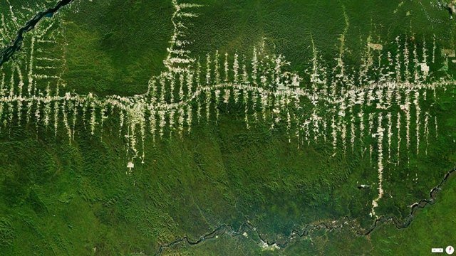 Satelitné snímky Deforestation Rainforest Para Brazil