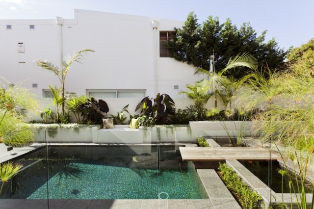 Obrázky exotických druhov rastlín vodná korytnačka rybník dom pri bazéne