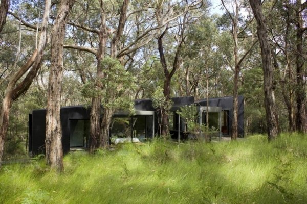 moderný dizajn domu v prírode jednoposchodový