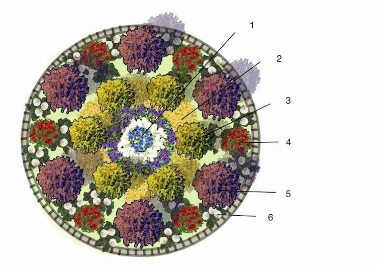 záhon-položenie-koberec-schéma-okrúhleho kruhu-symetrický
